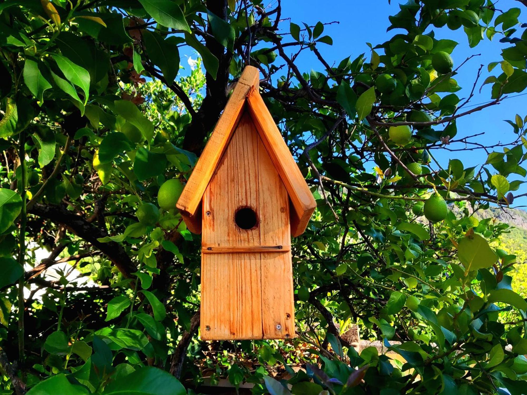 La Casa Del Naturalista 埃尔博斯克 外观 照片